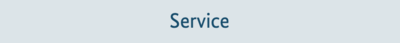 Screenshot des Hauptmenüpunktes "Service"